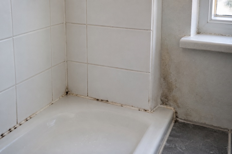 Bathroom tile and wall corner with moisture discoloration